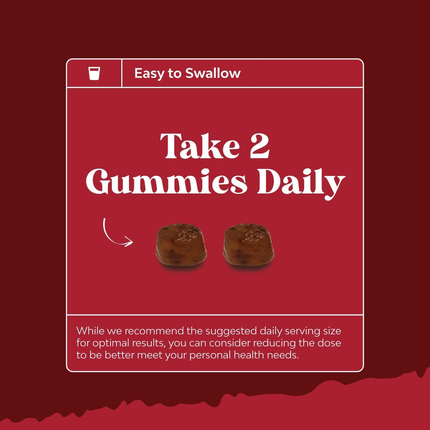Bundle of Natural Cranberry Gummies - Zinc Gummies for Adults
