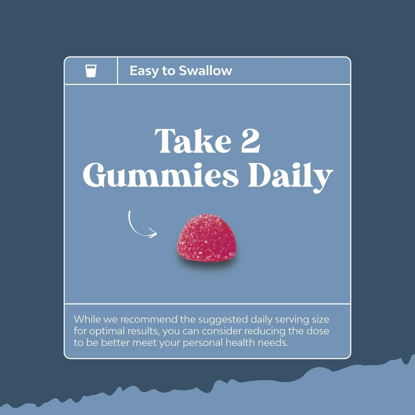 Bundle of Natural Cranberry Gummies - Zinc Gummies for Adults