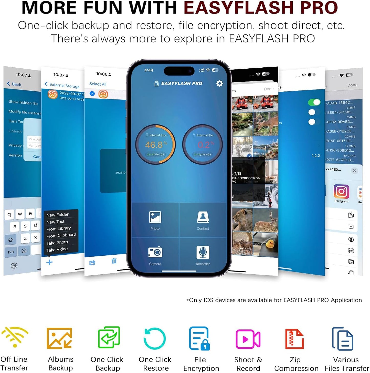 Flash Drive for iPhone 256GB