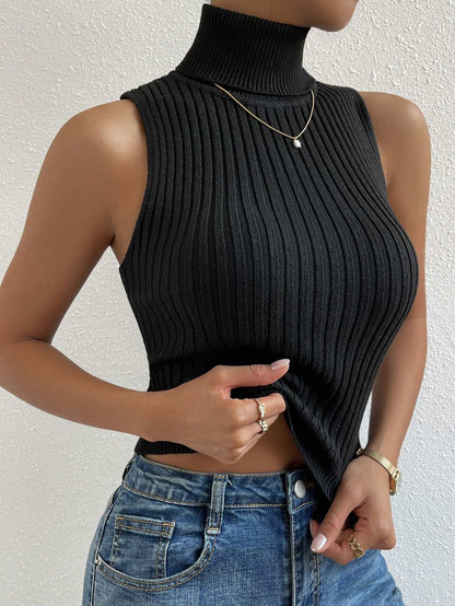 Frenchy Turtle Neck Ribbed Knit Top
