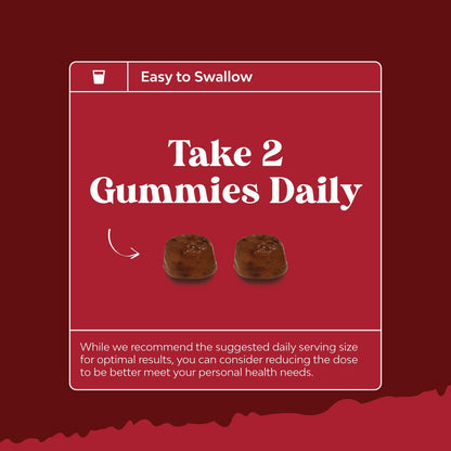 Bundle of Natural Cranberry Gummies - Zinc Gummies for Adults