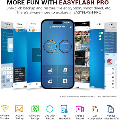 Flash Drive for iPhone 256GB