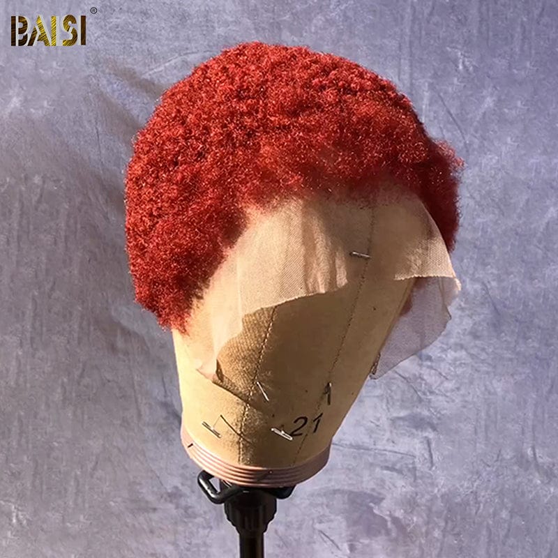 Afro Culy Lace Wig