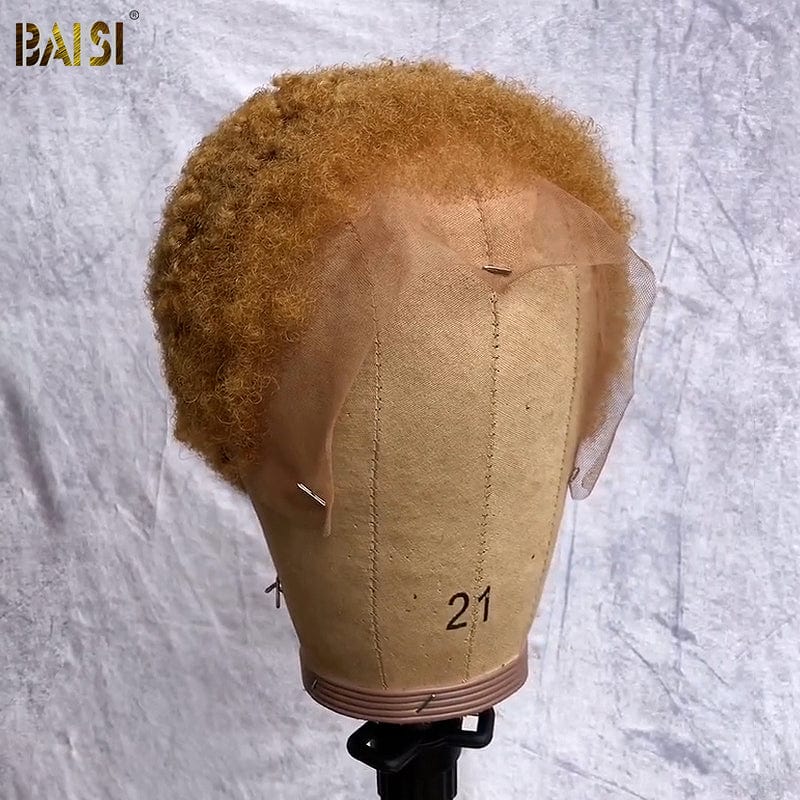 Afro Culy Lace Wig