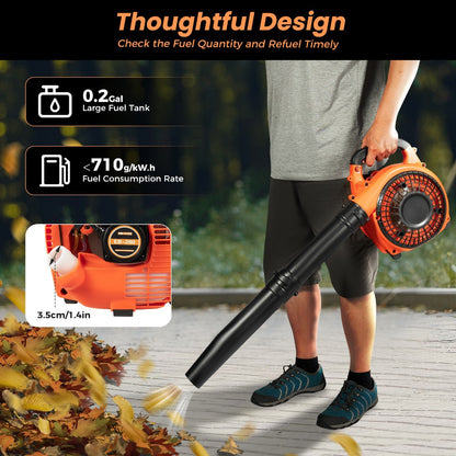Handheld Gas Blower 2