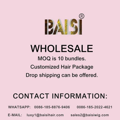 BAISI HD Straight Bob Wig 100% Human Hair