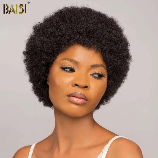 BAISI Full Lace Afro Curl Wig