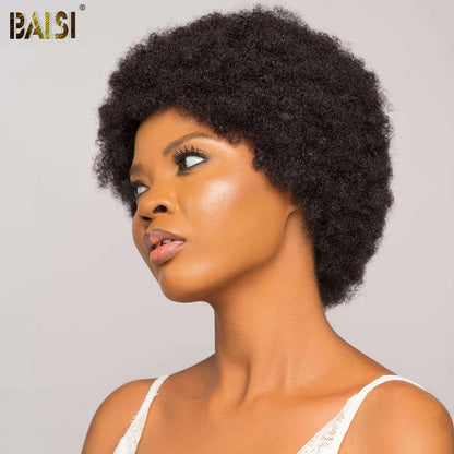 BAISI Full Lace Afro Curl Wig