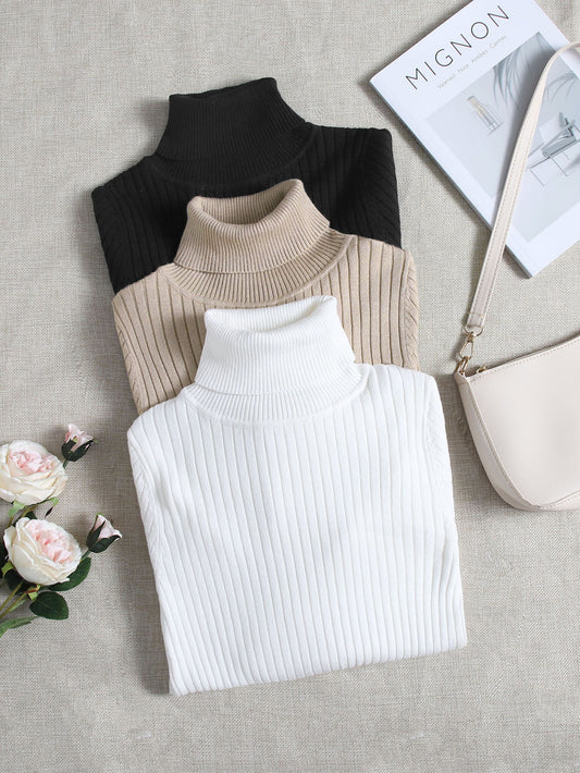 LUNE 3pcs Turtle Neck Ribbed Knit Sweater